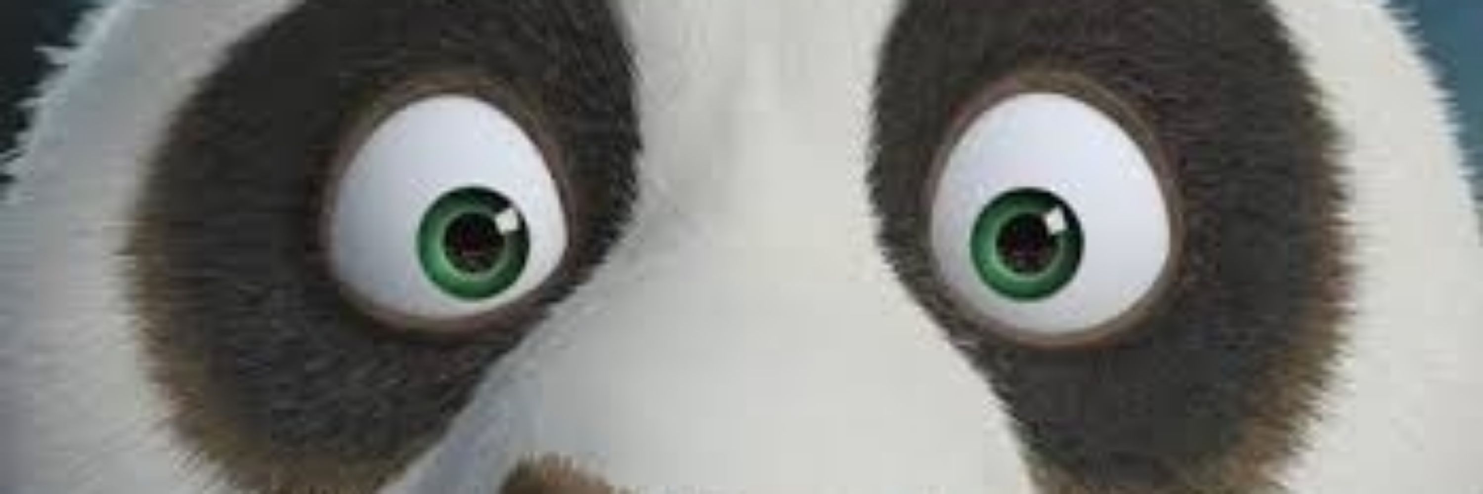 🐼