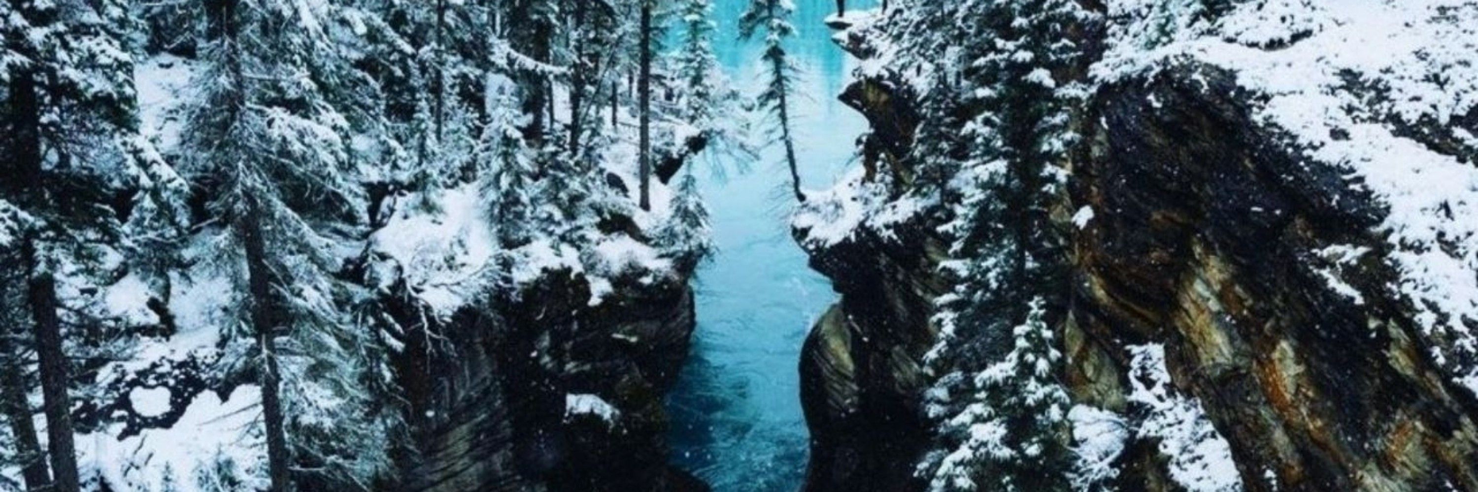 Гена хіпарь ☮️