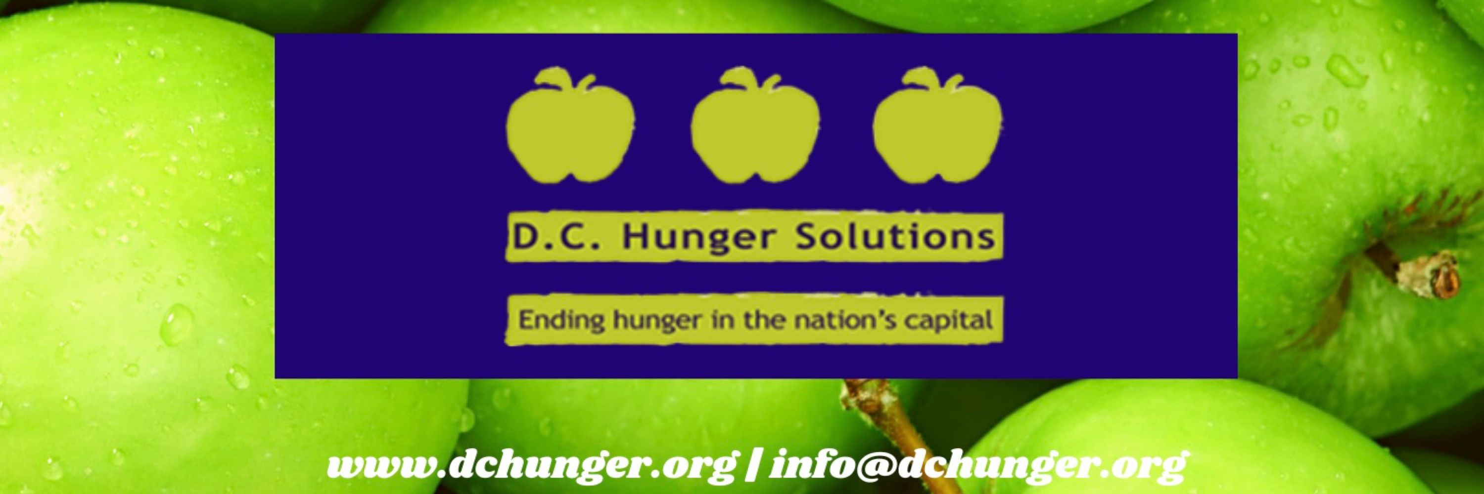 DC Hunger Solutions