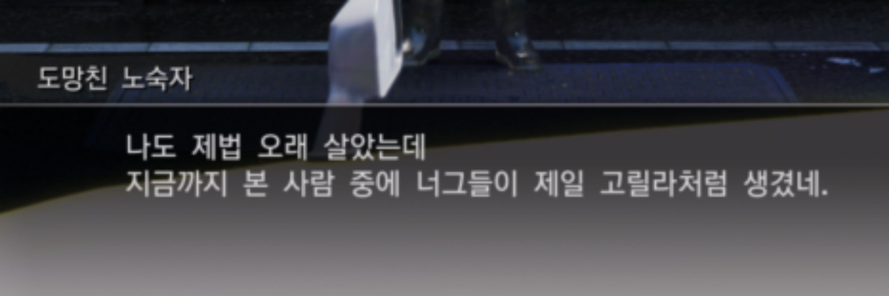 도굴