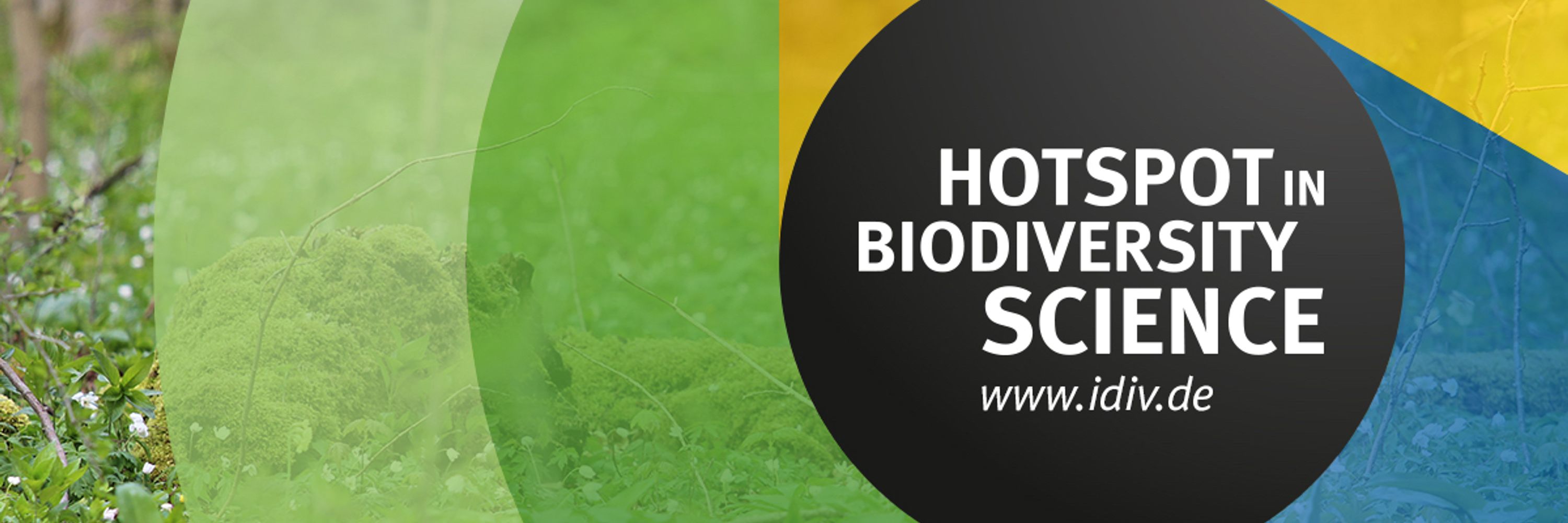 iDiv Biodiversity Research