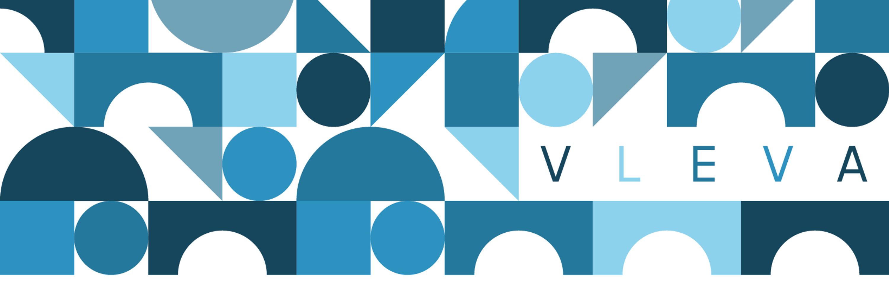 Vlaams-Europees Verbindingsagentschap (VLEVA)