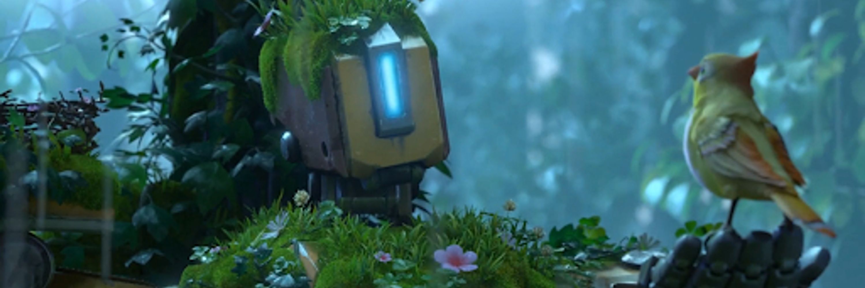 Warden