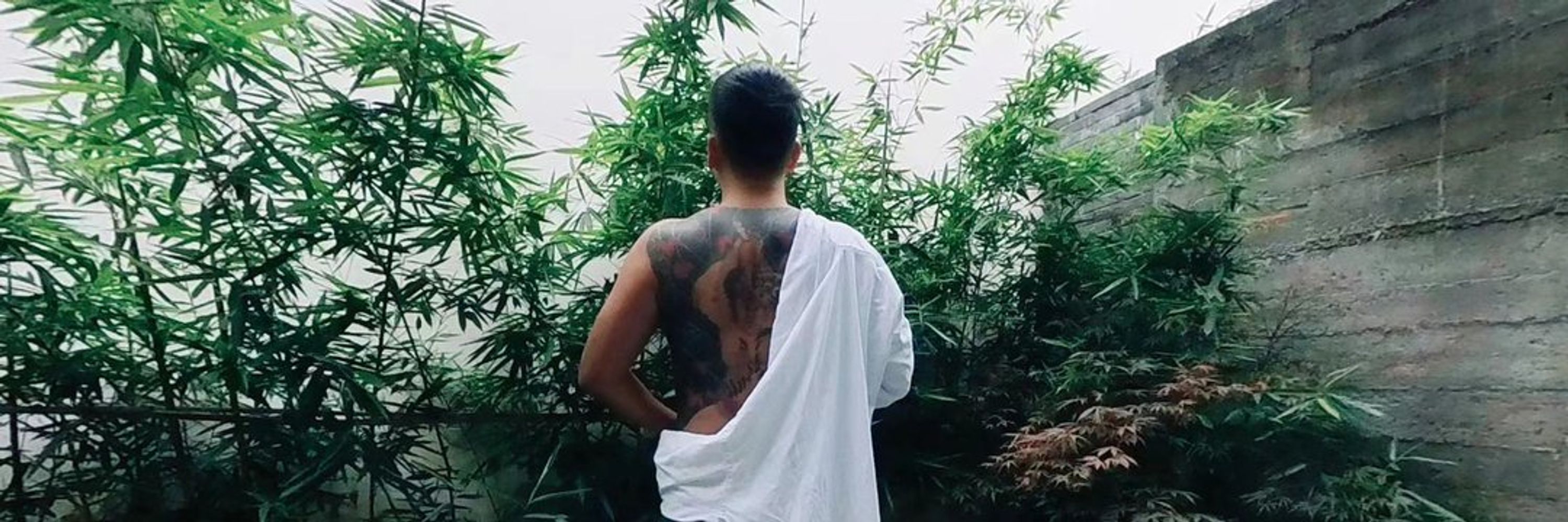 赵雷