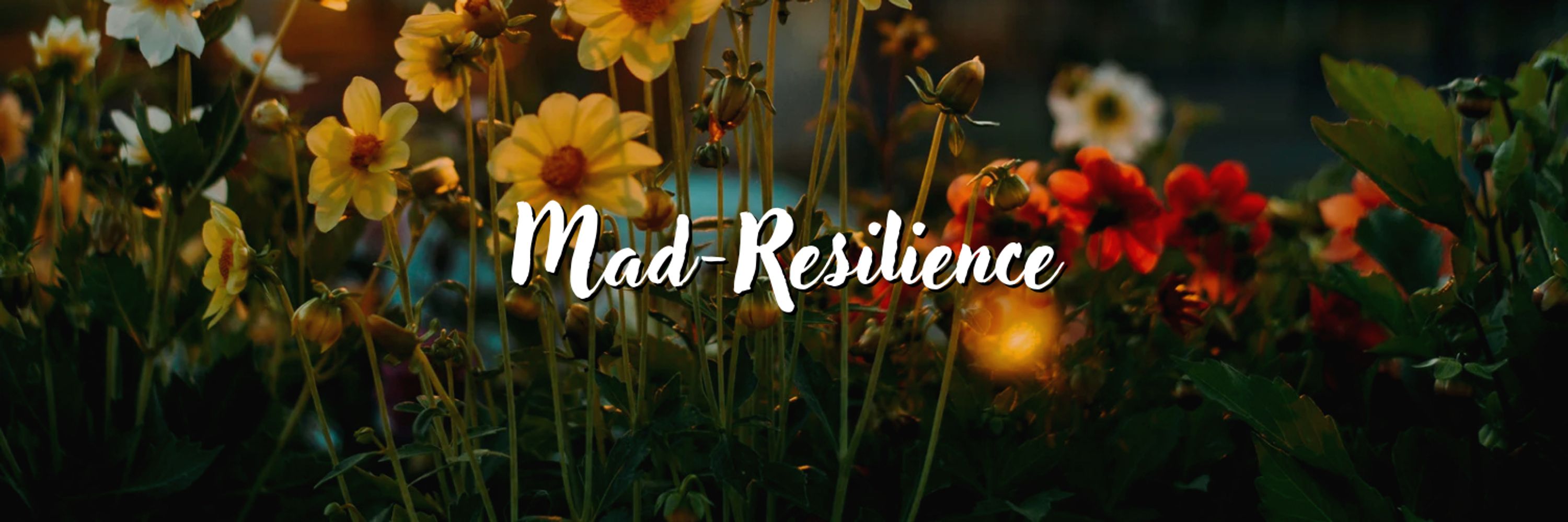 Mad-Resilience 