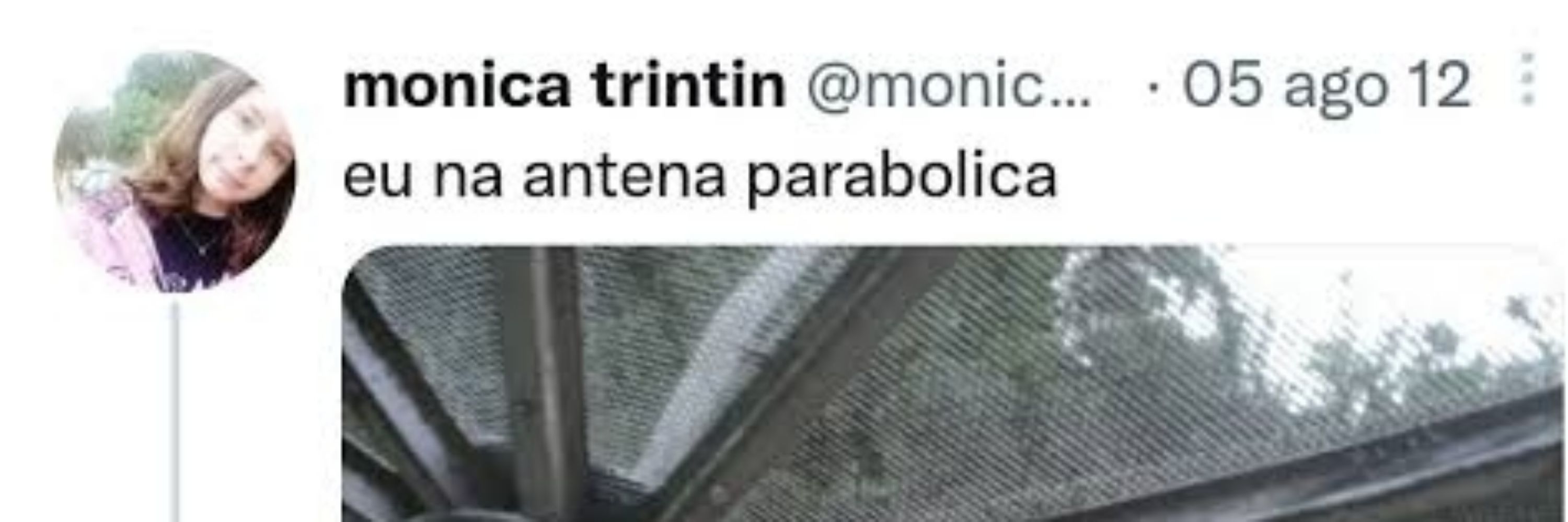 D.luto tt 🐦
