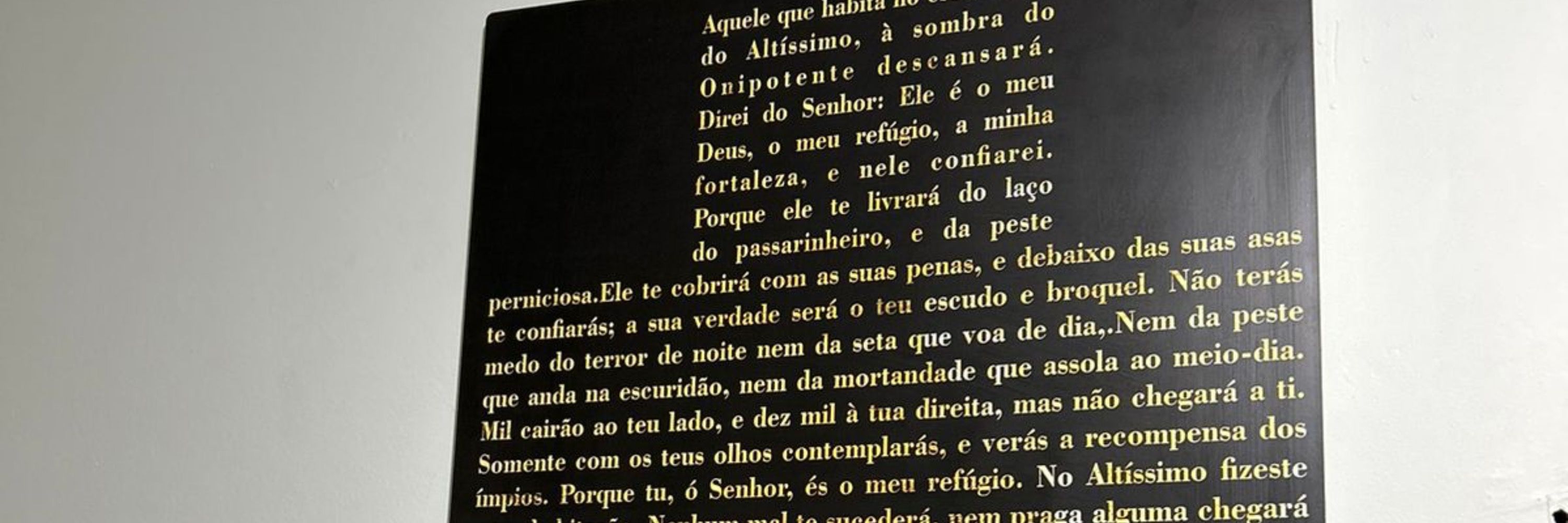 ribeiroo