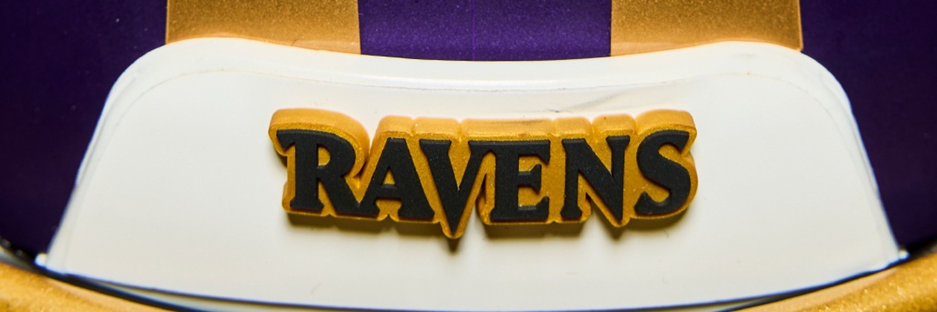 🏈🐦‍⬛Random (Floridian) Ravens Fan 🐦‍⬛🏈