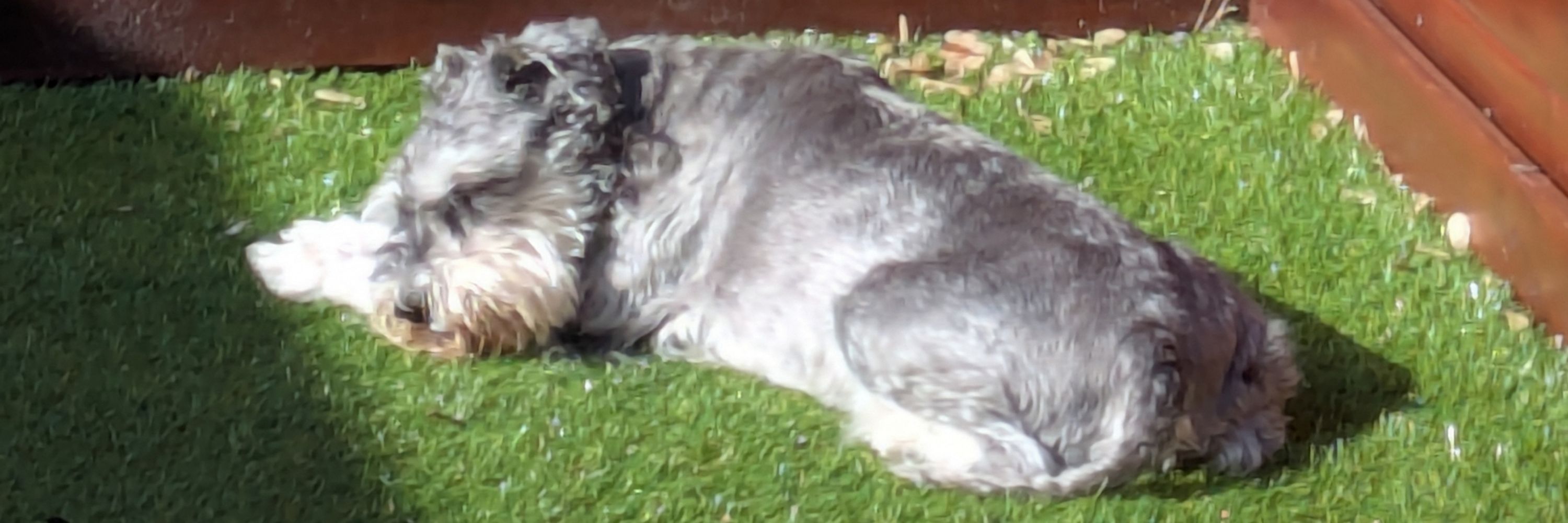 Spud