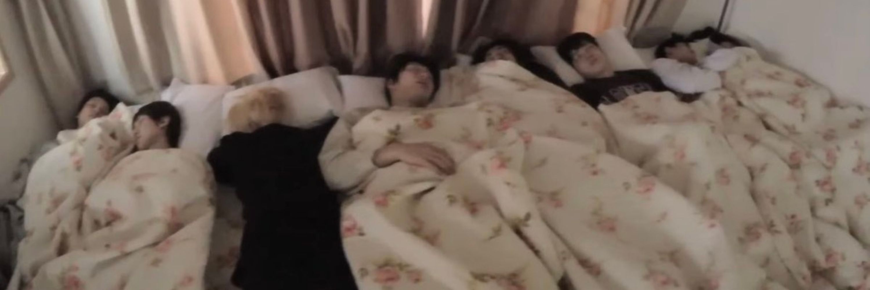 mingi 🐣🍟