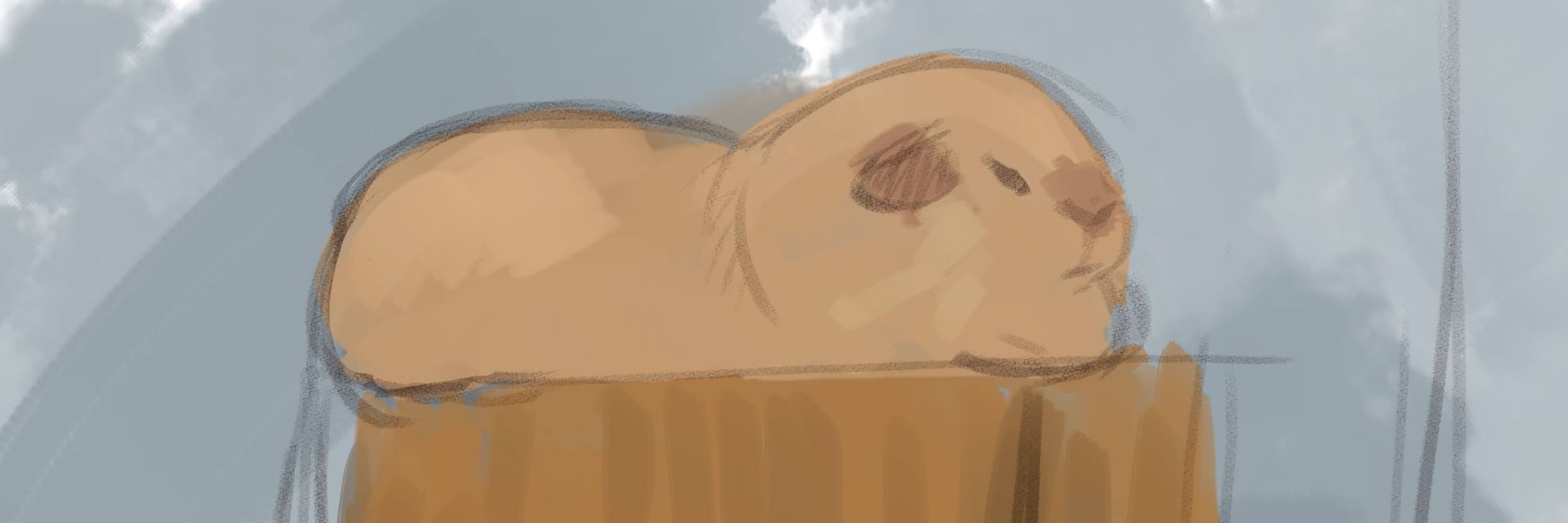 Laila Draws Guinea Pigs