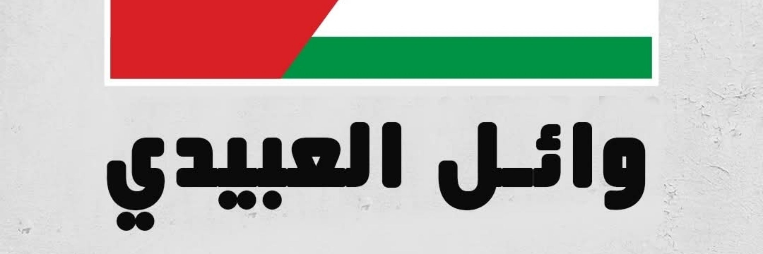 Abidi Wael