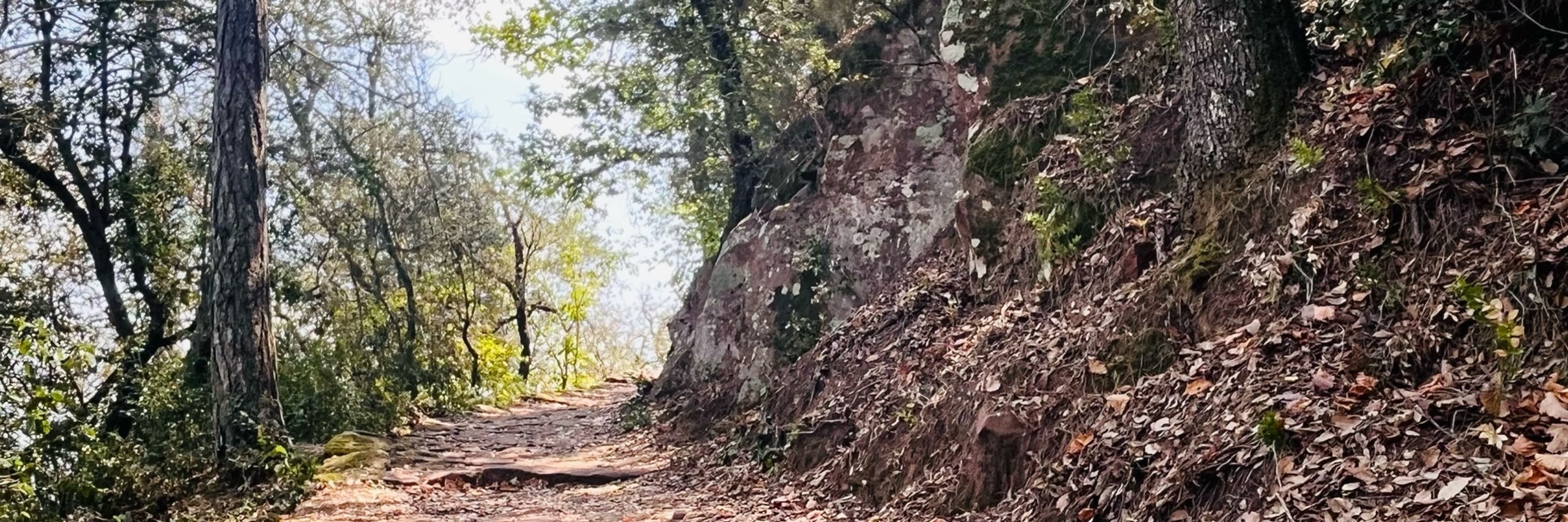 Jo Malhue