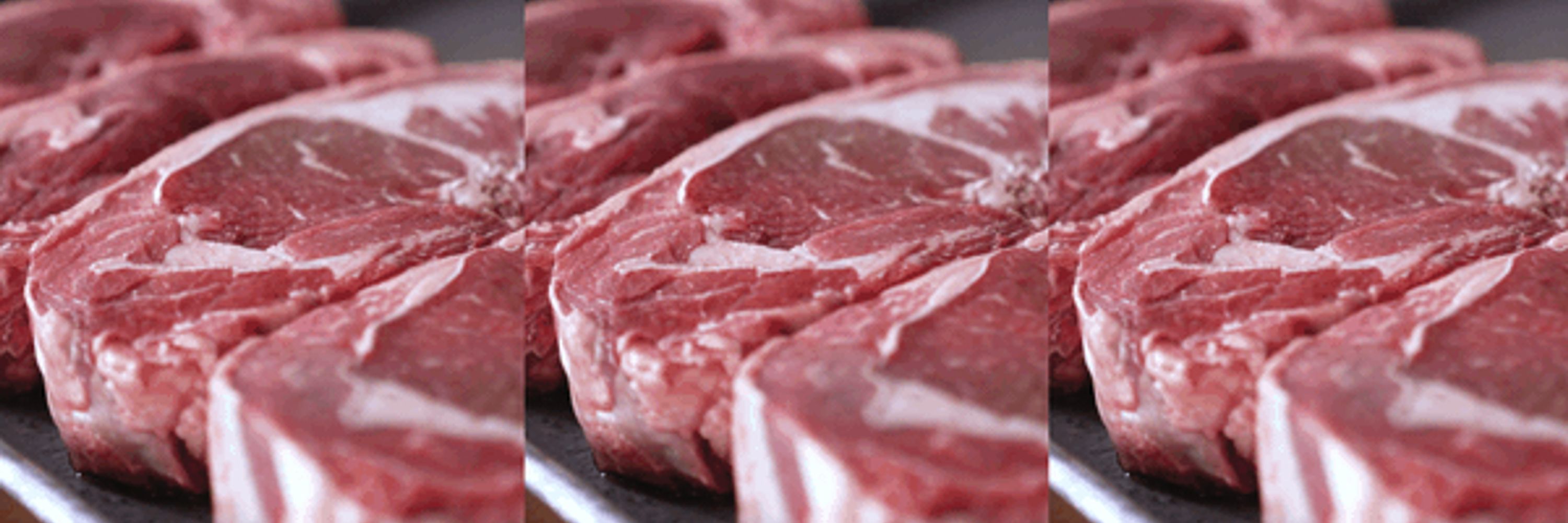 shakethesteak