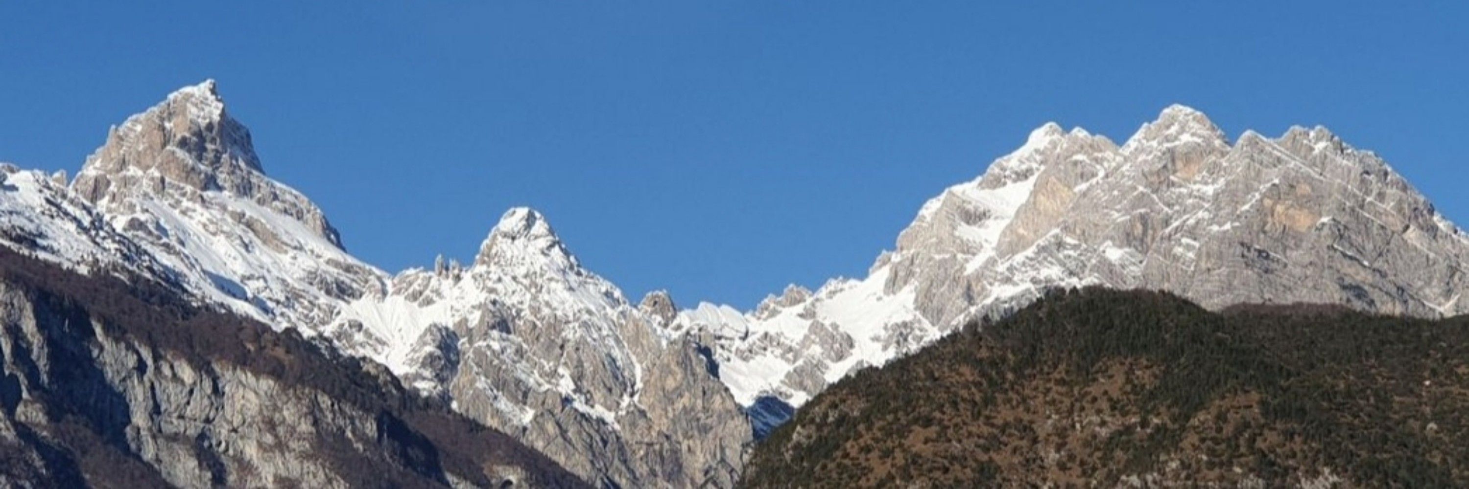 bianske