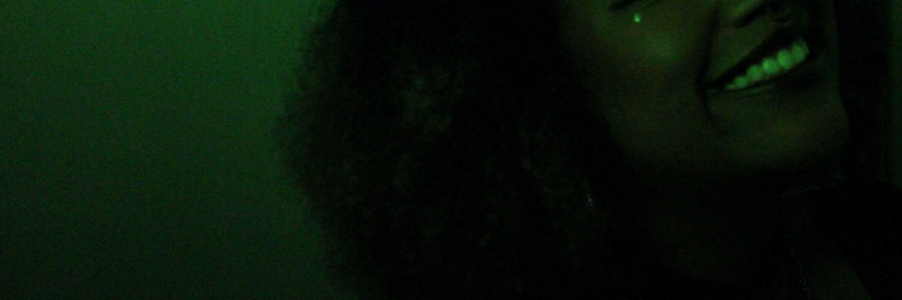 LIMAO PERIGOSO
