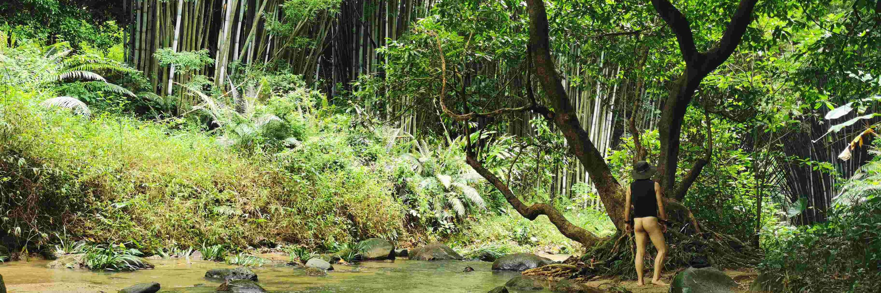 山海花甲
