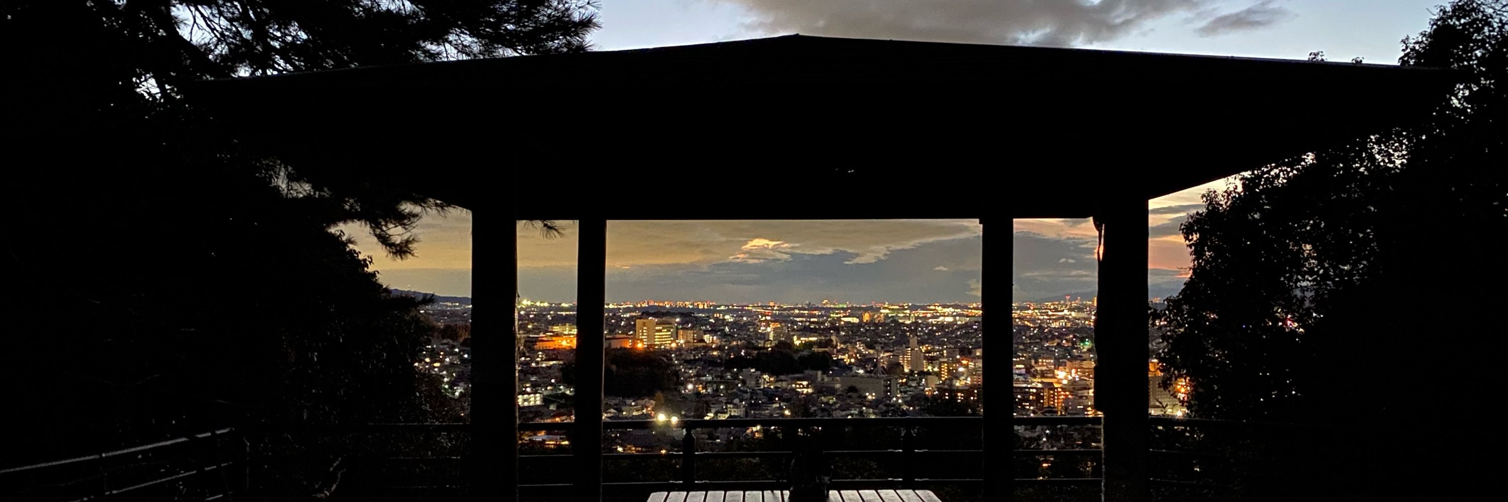 クロぼうし