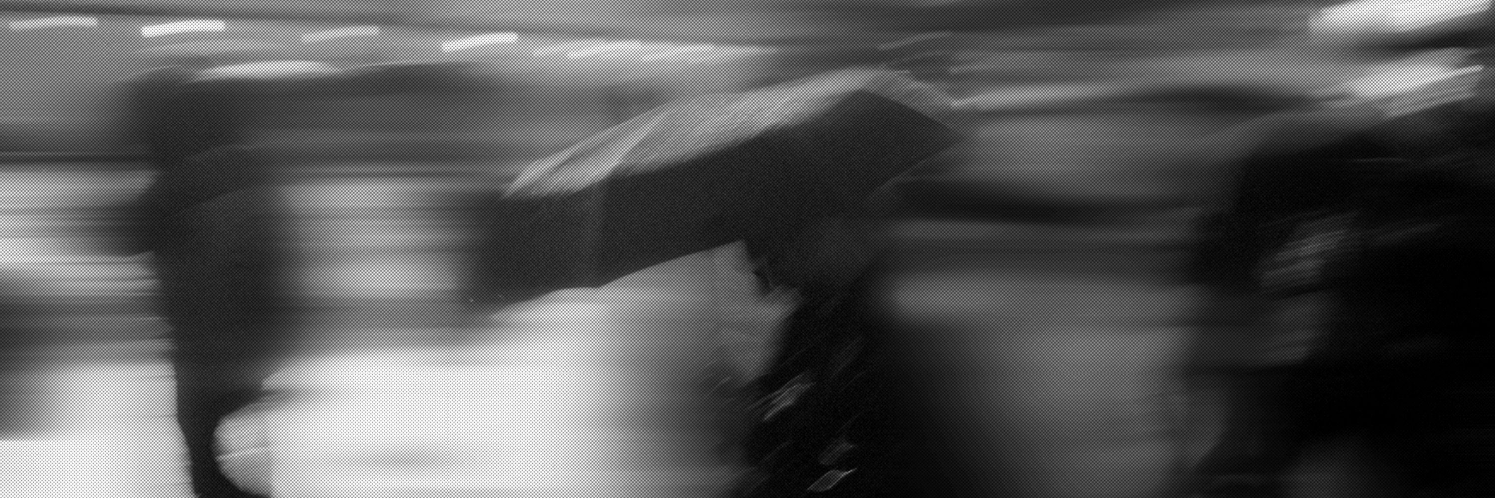 Poultry_Motion Photographer