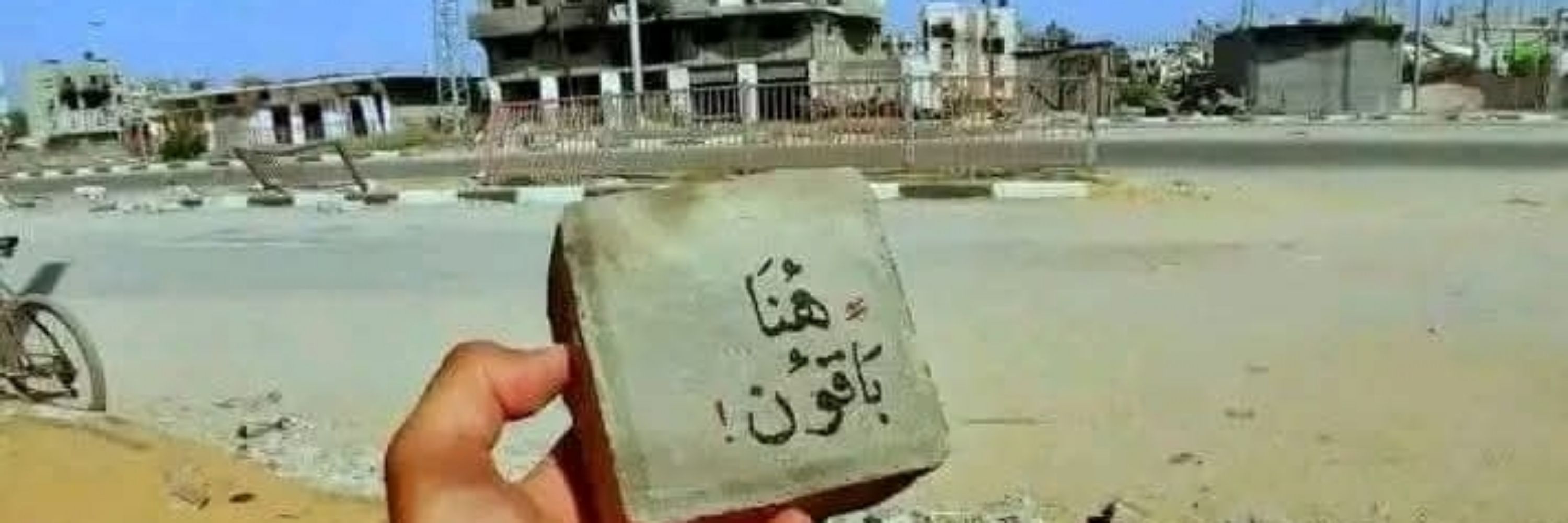 🥺Mohammad🍉