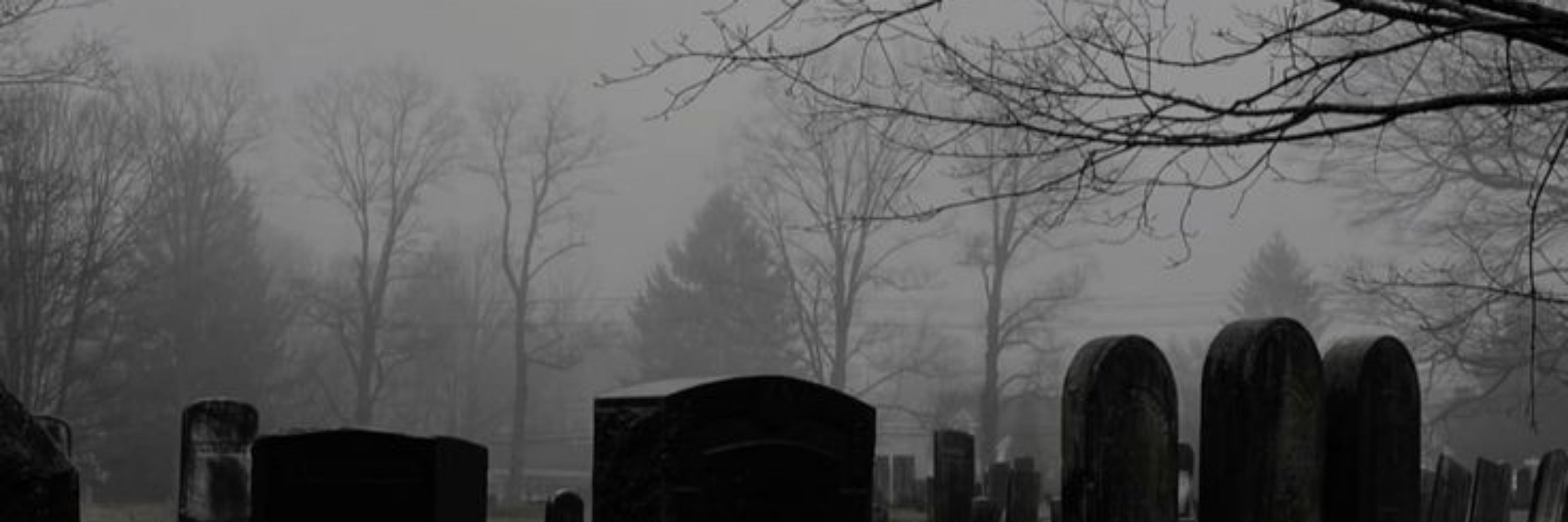 🪦welcome to the graveyard🌼