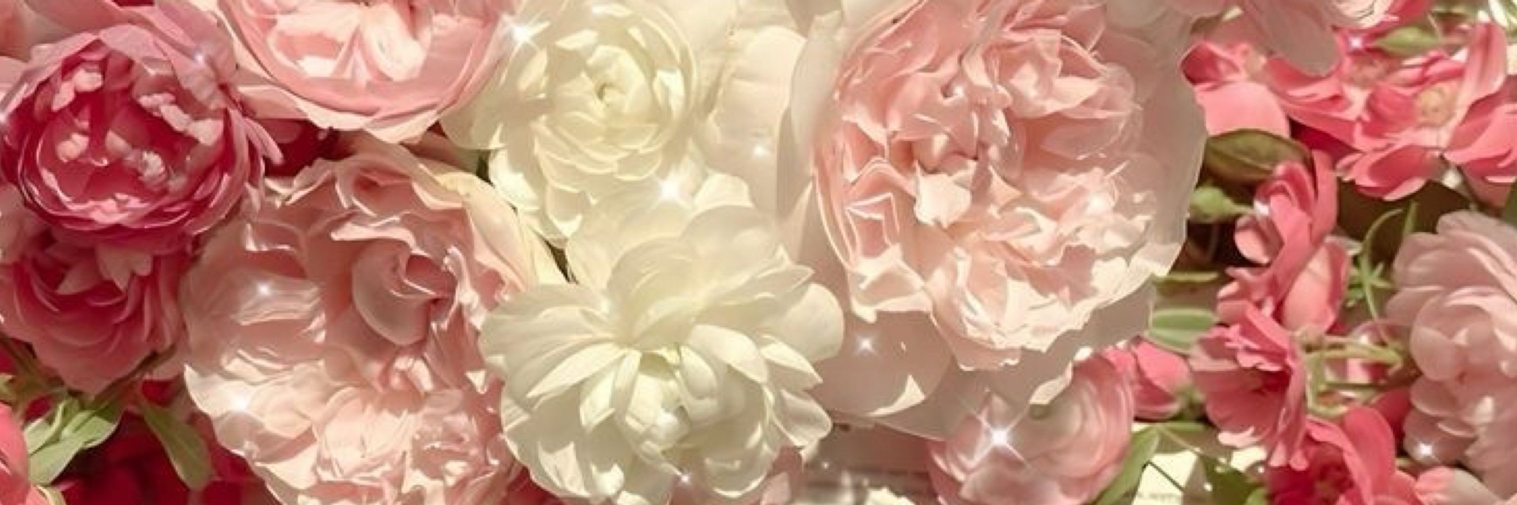 𝑴𝒂𝒚𝒂 𝑪𝒂𝒕𝒐𝒏🥀