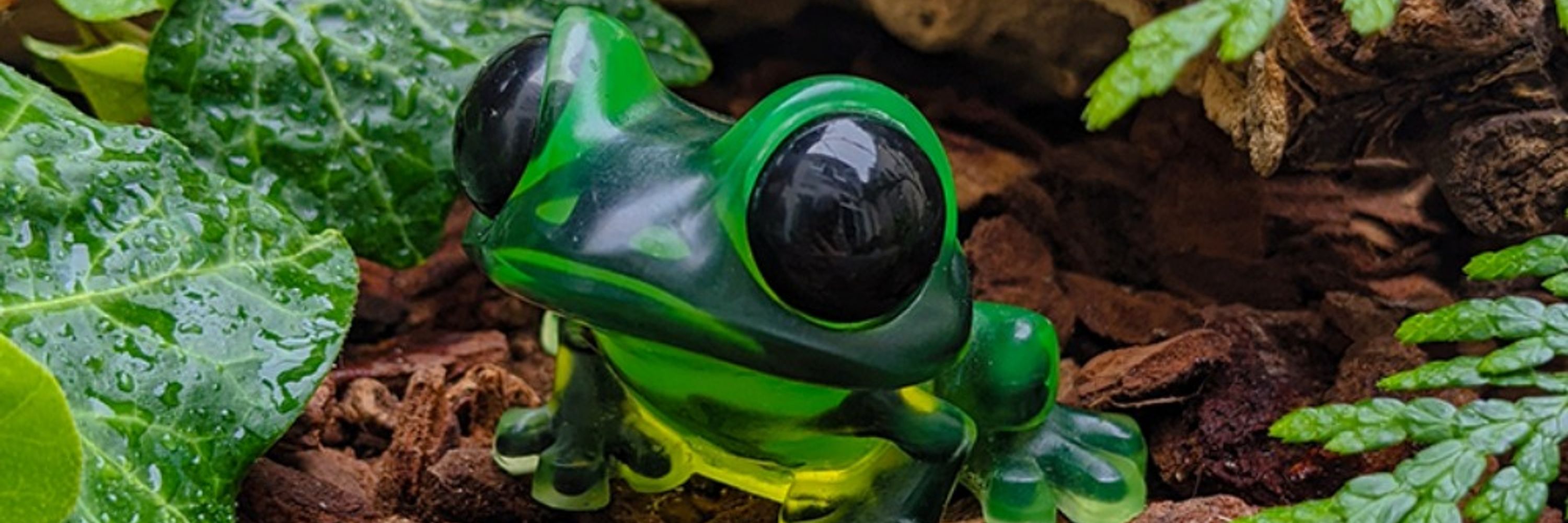 Scribbletoad