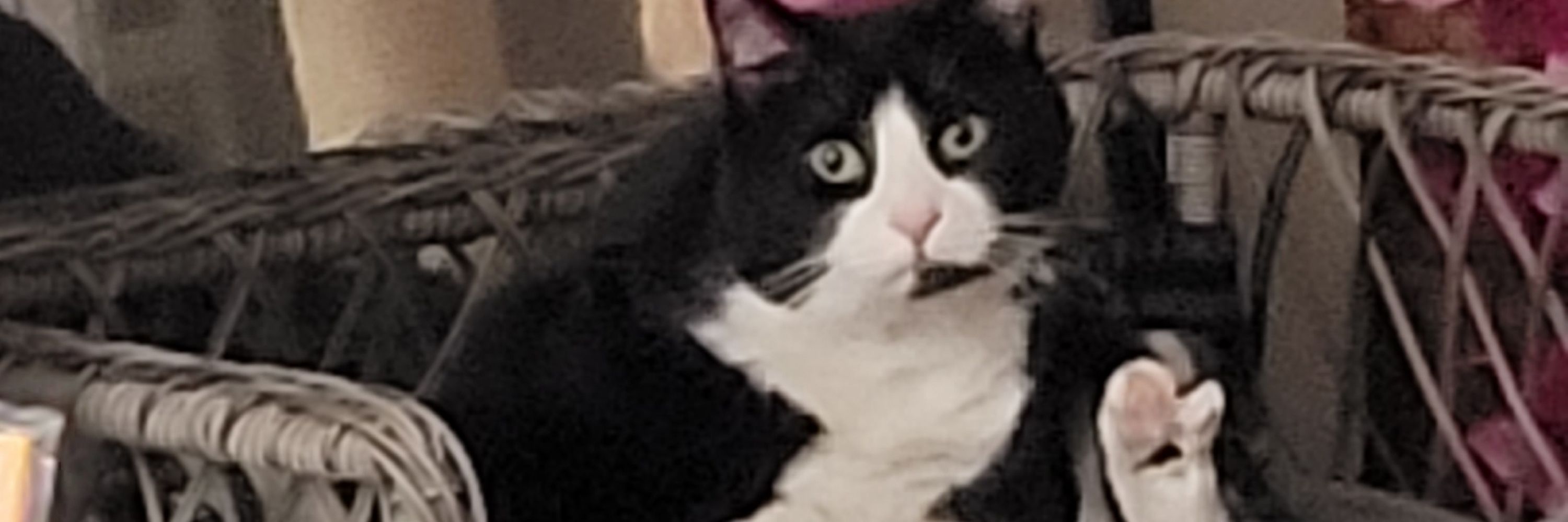 Jim Demise