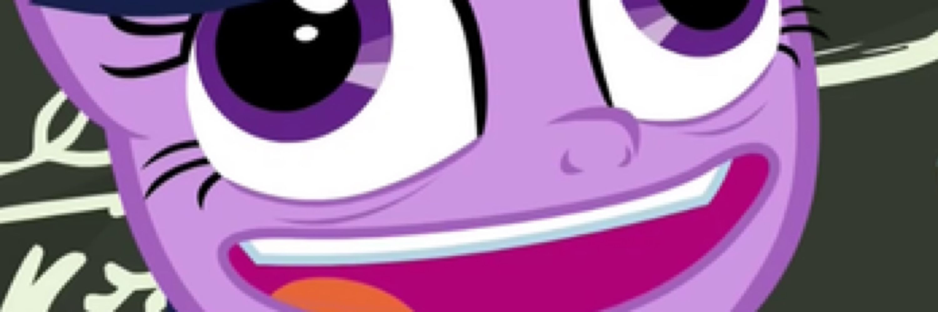 Poni