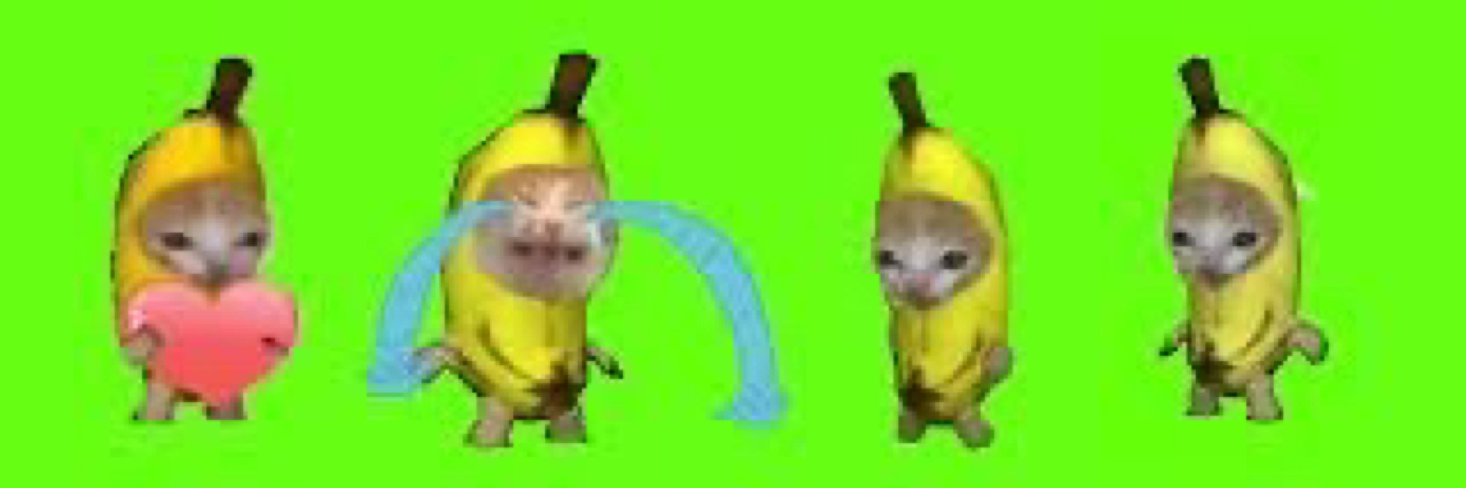たけぴよ