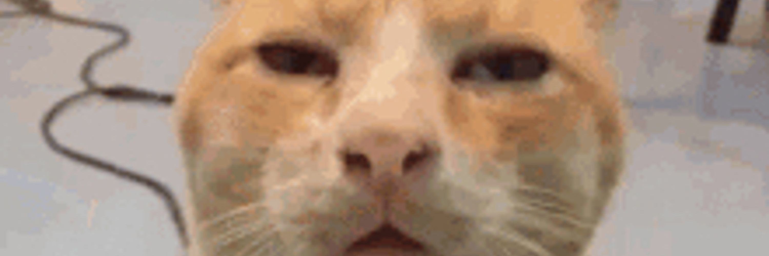 Bman