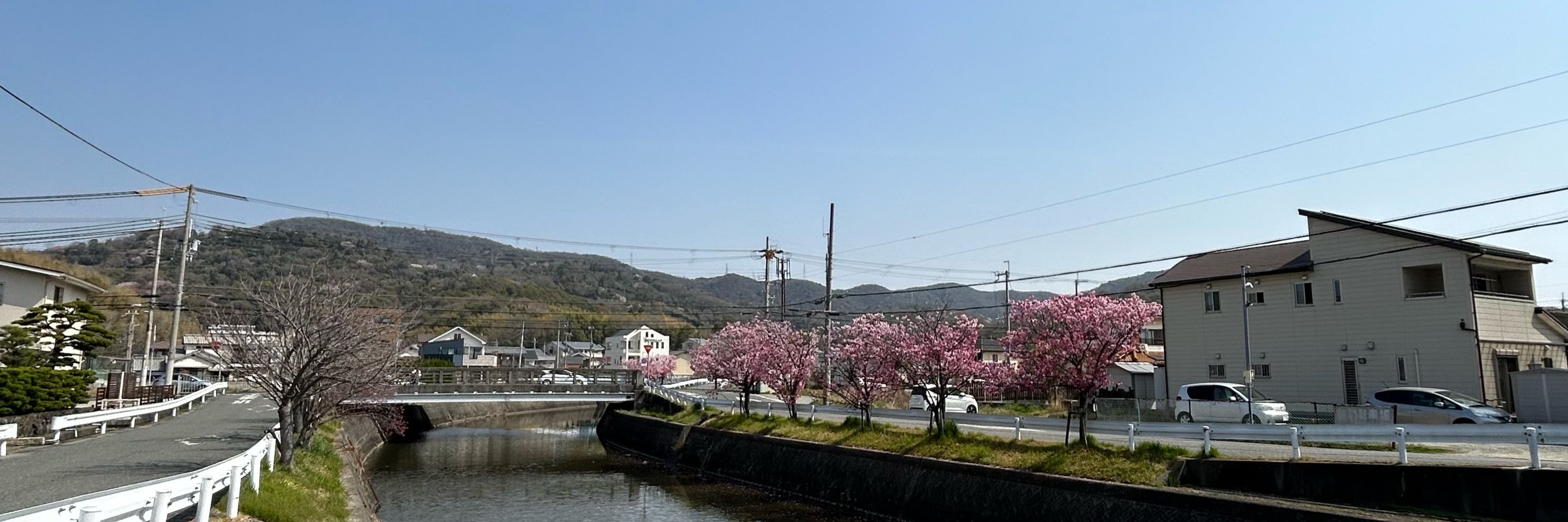 ぽんす