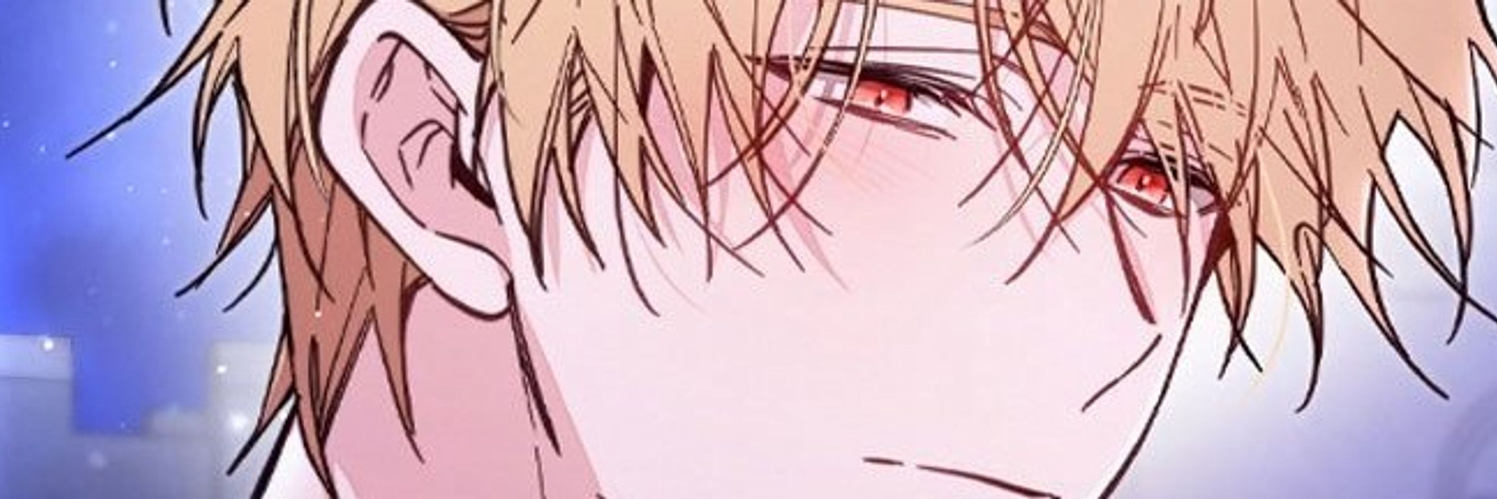 홍시