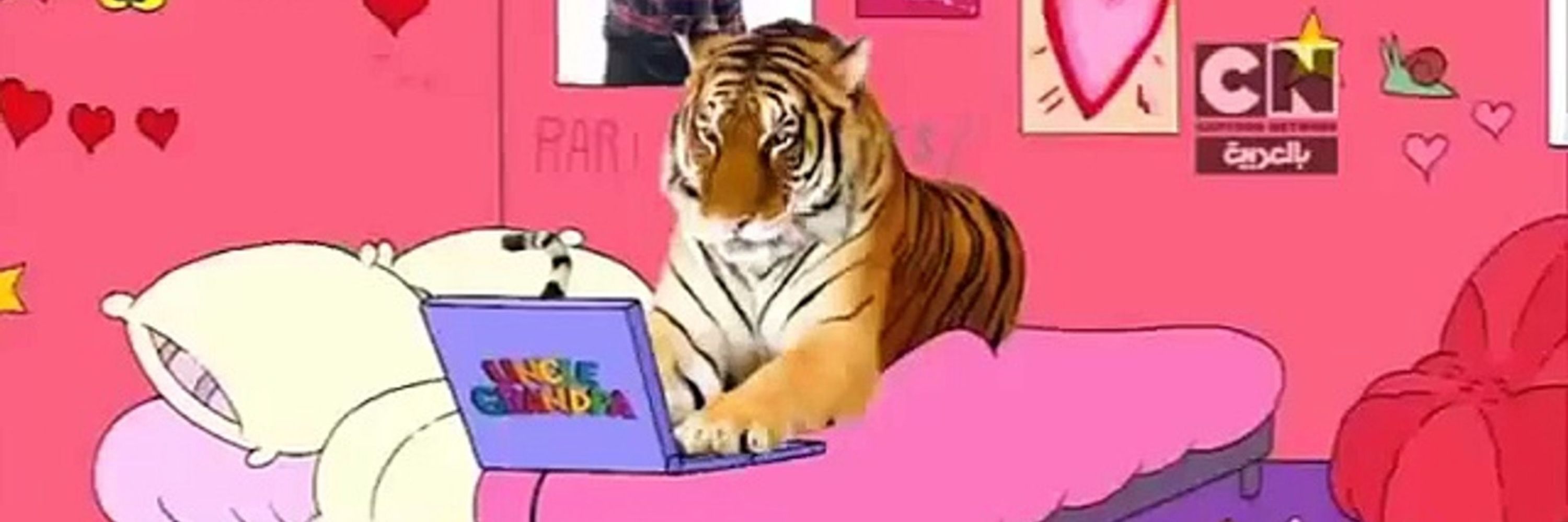 fefelino