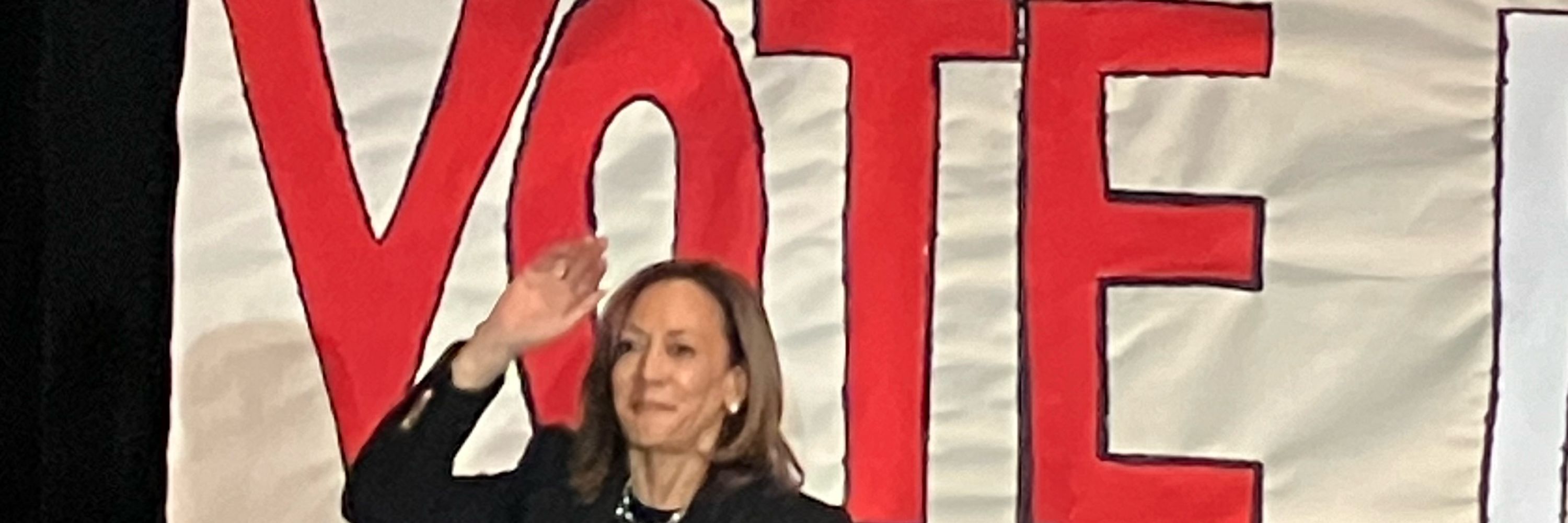Melissa Votes