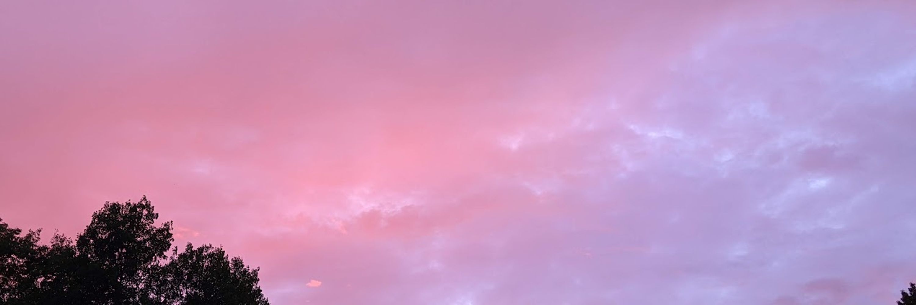 NeonFluf