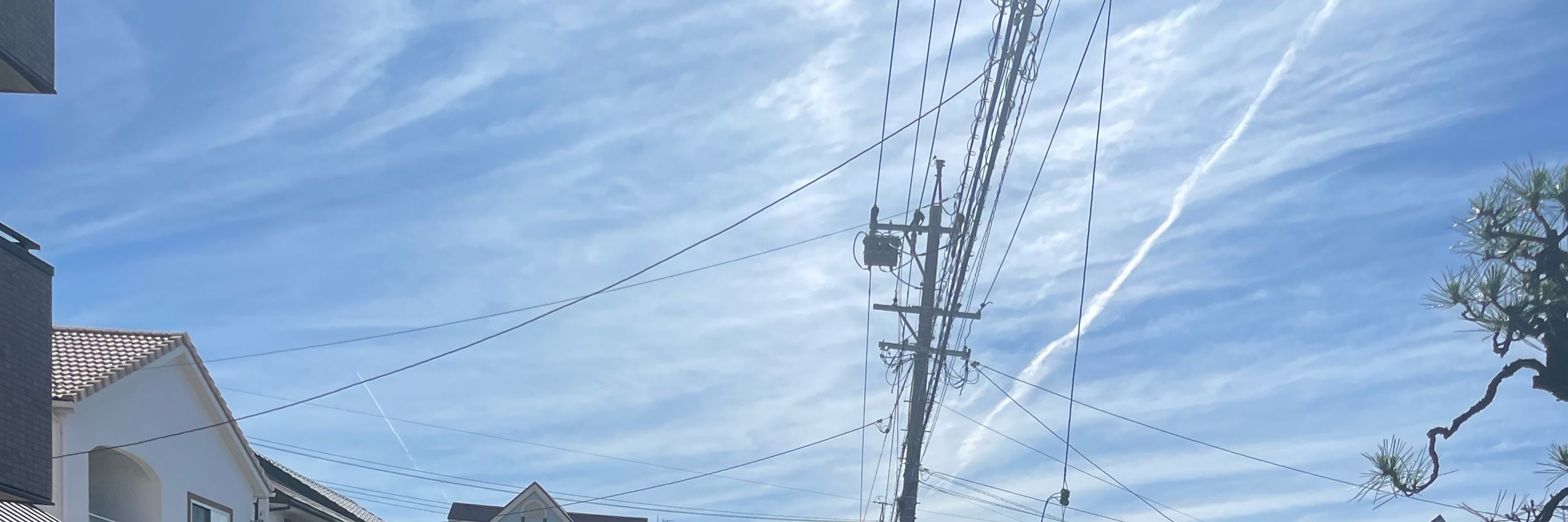 ゆるいねこ