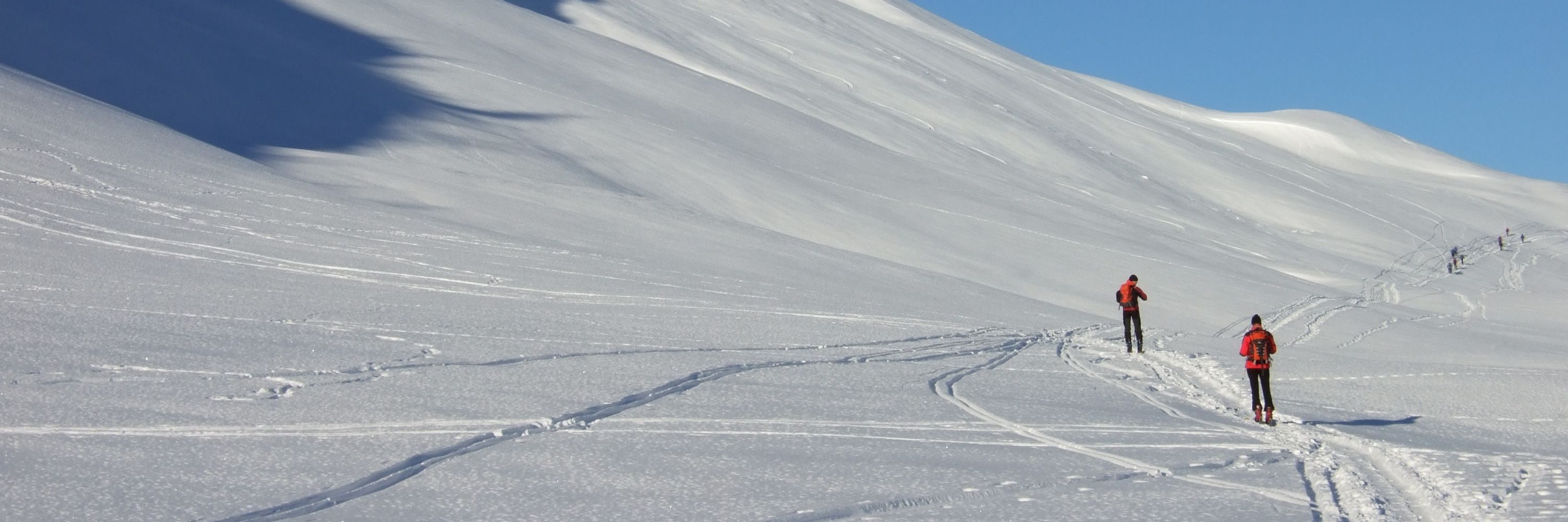 Kungsleden