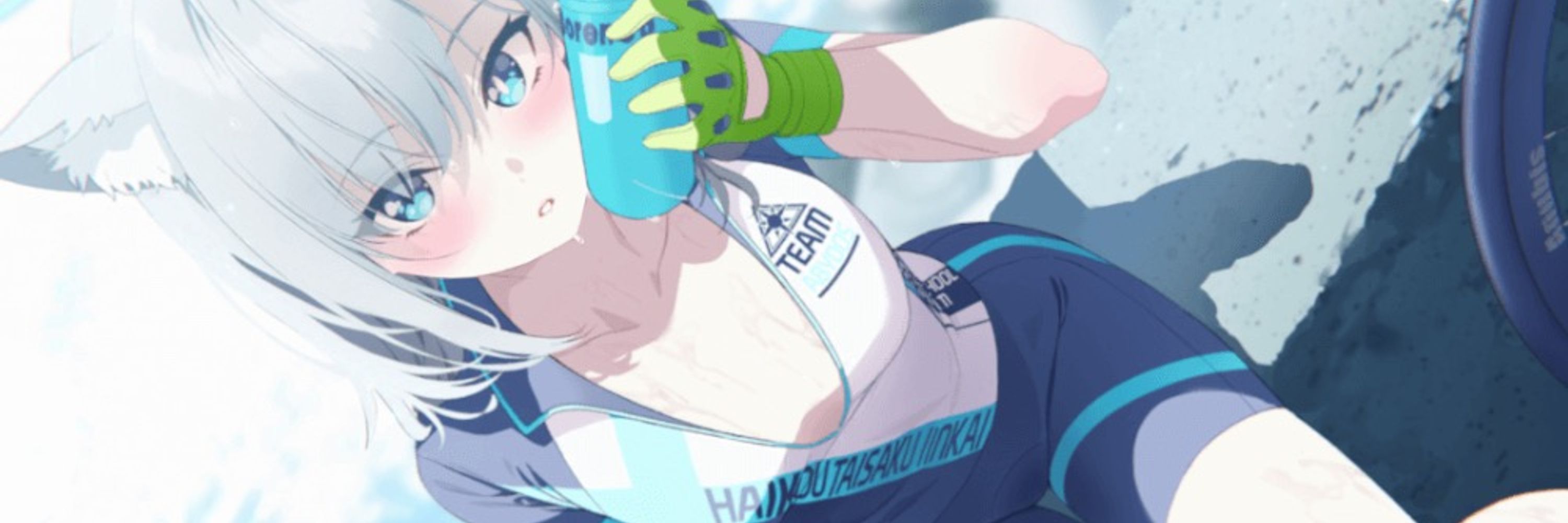 砂狼シロコ