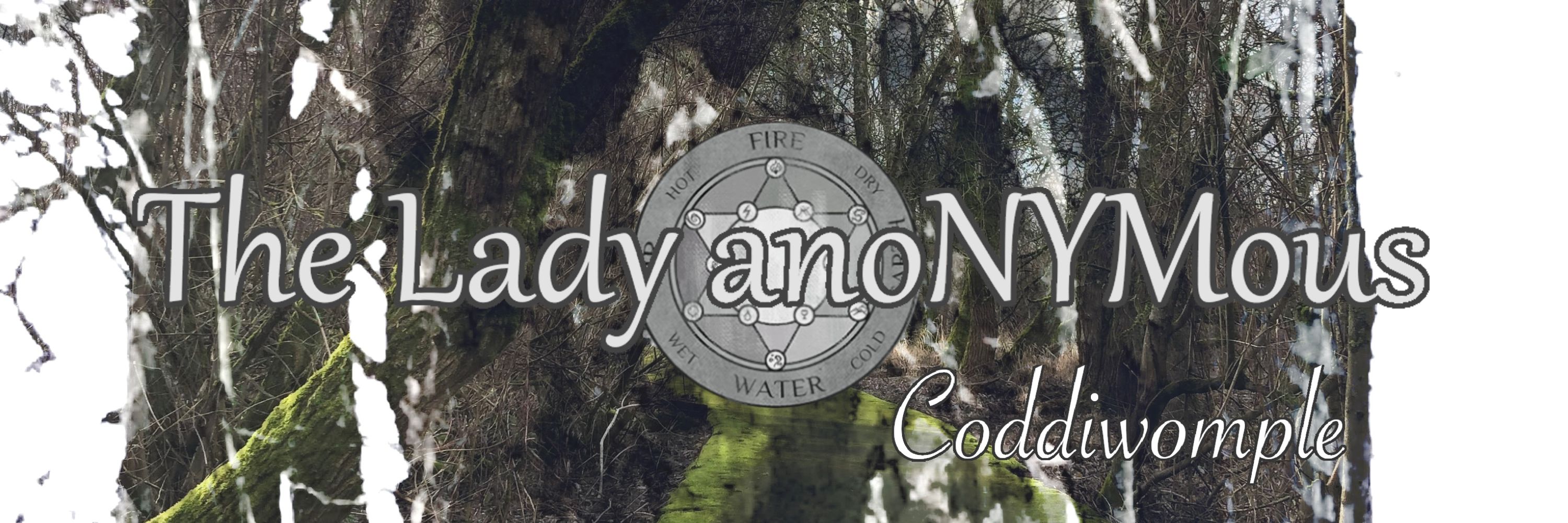 The Lady anoNYMous