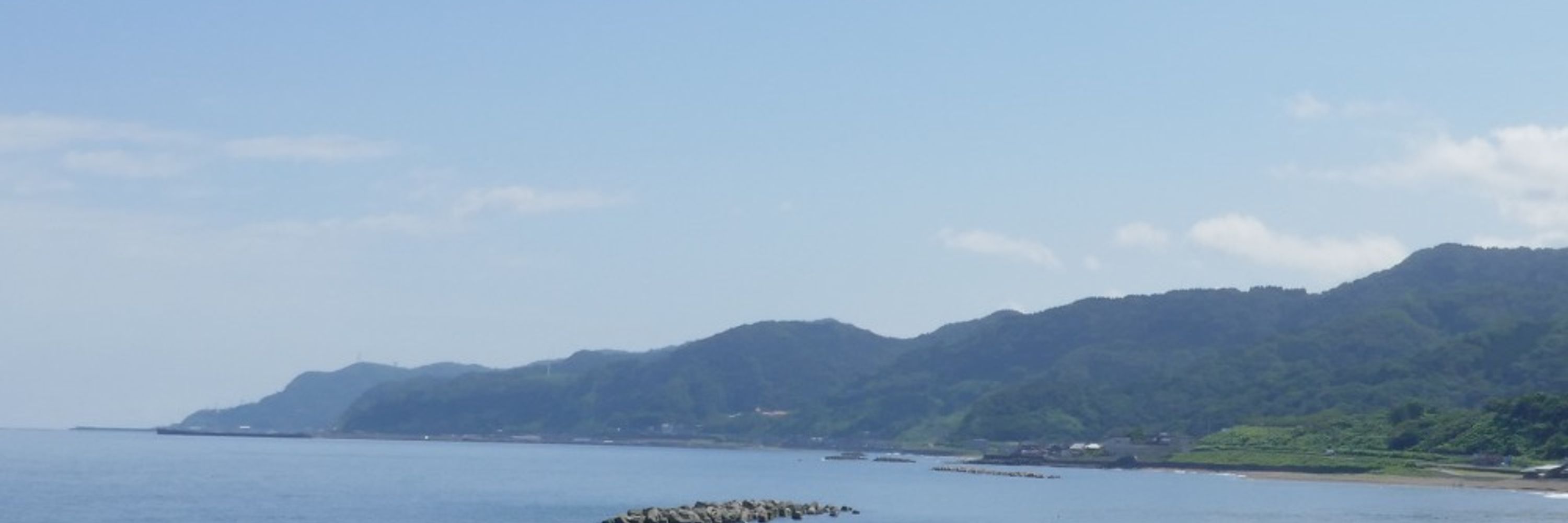 イチゴン