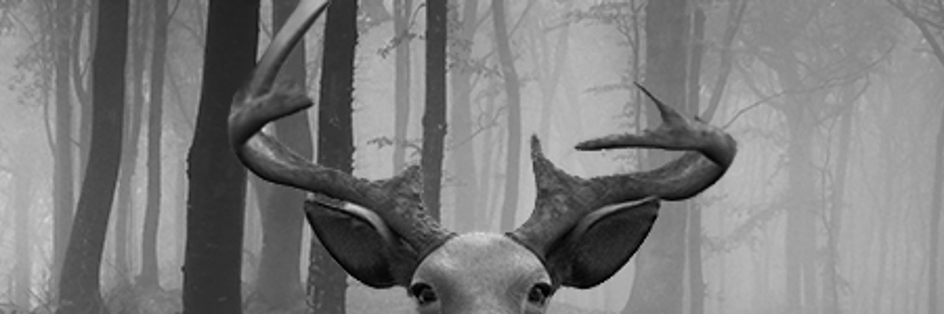 The Deer Is Messed Up