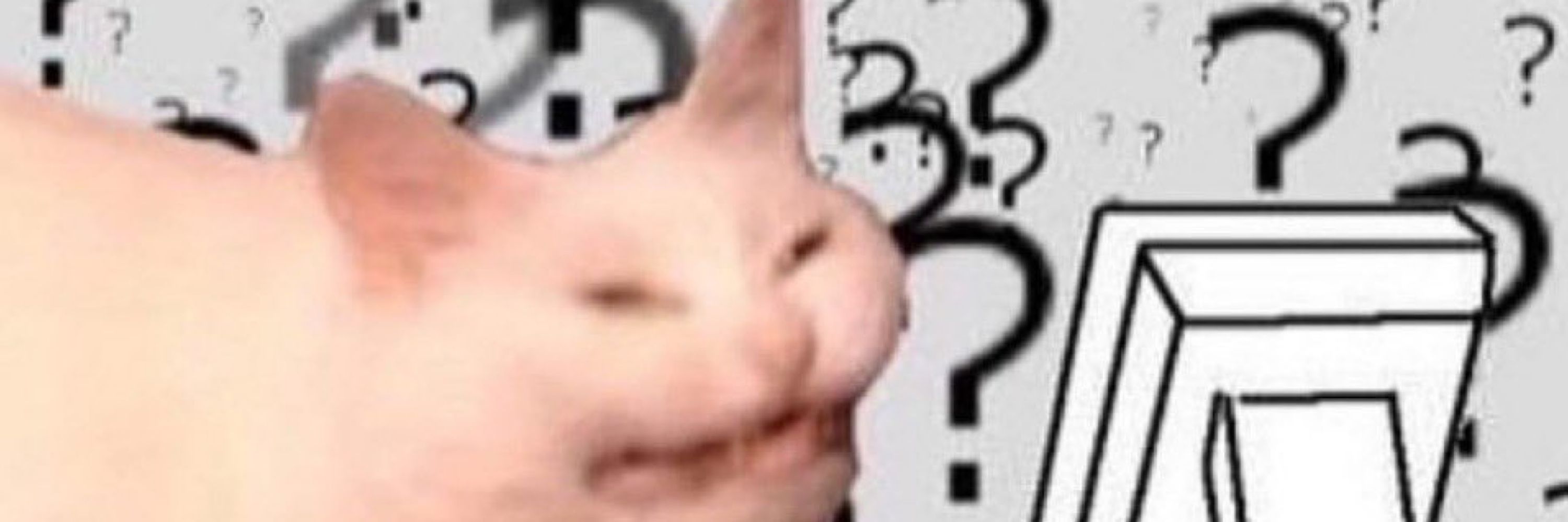 Mo Mow