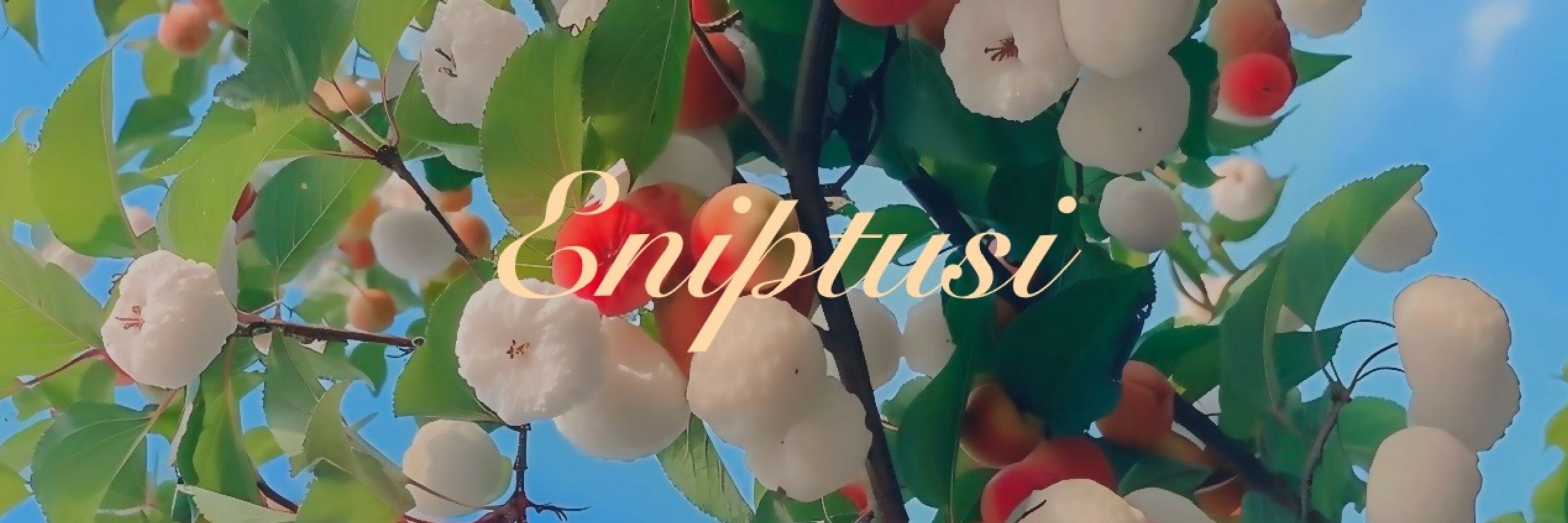 ☆*:.｡Eniptusu｡.:*☆