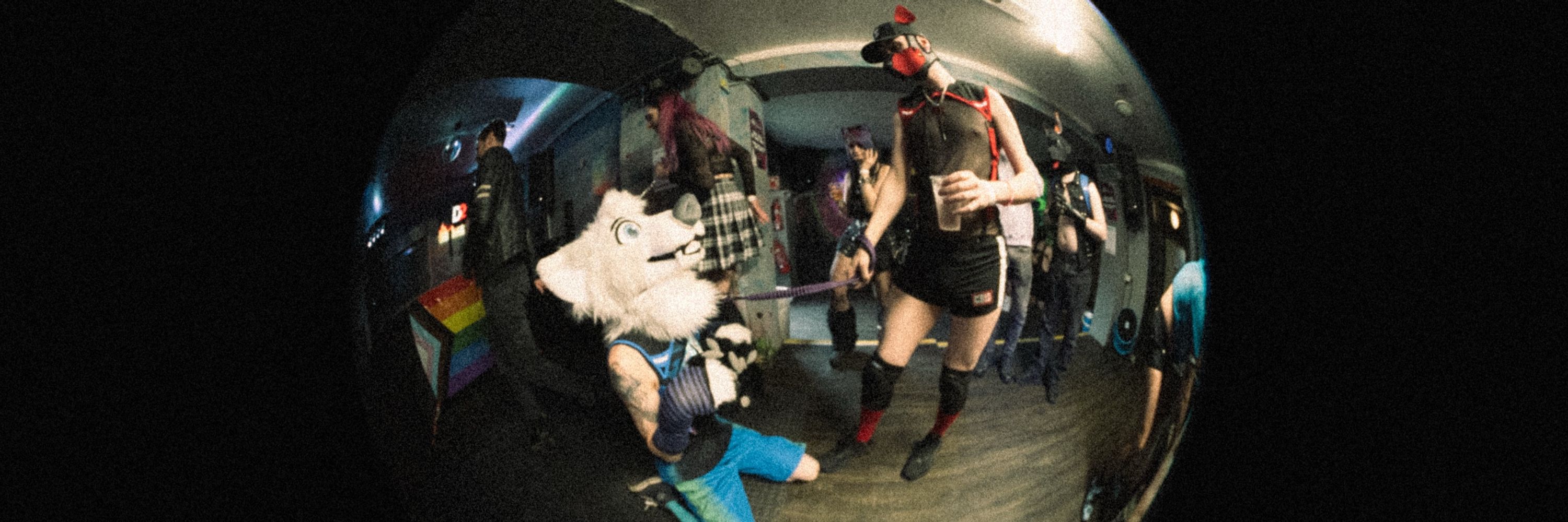Wolf Pup Nero / Mavarix Pupper
