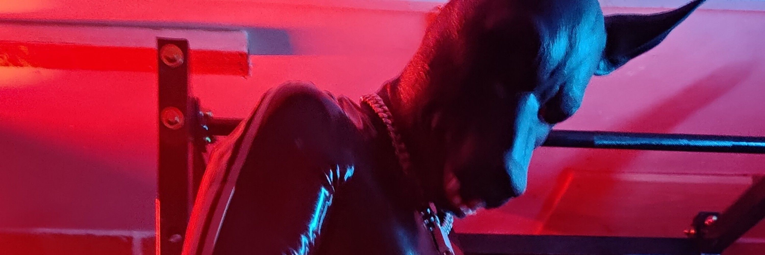 🦖Toshiro → @toshiro.knottybeast.com