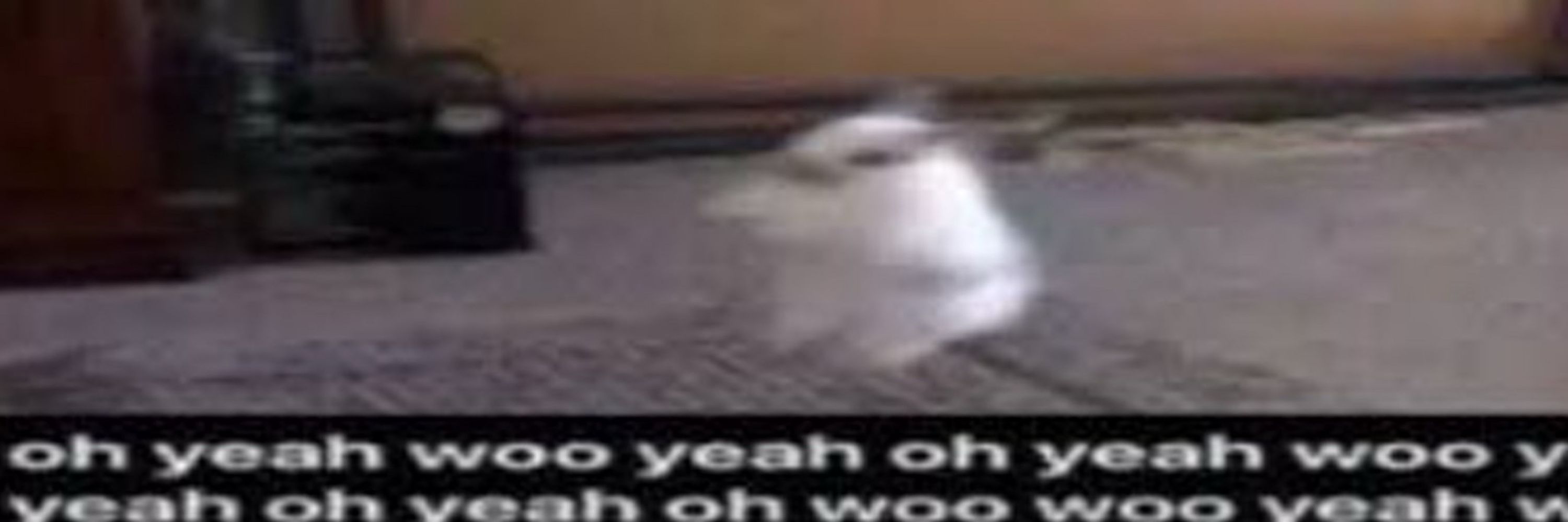 bnuy