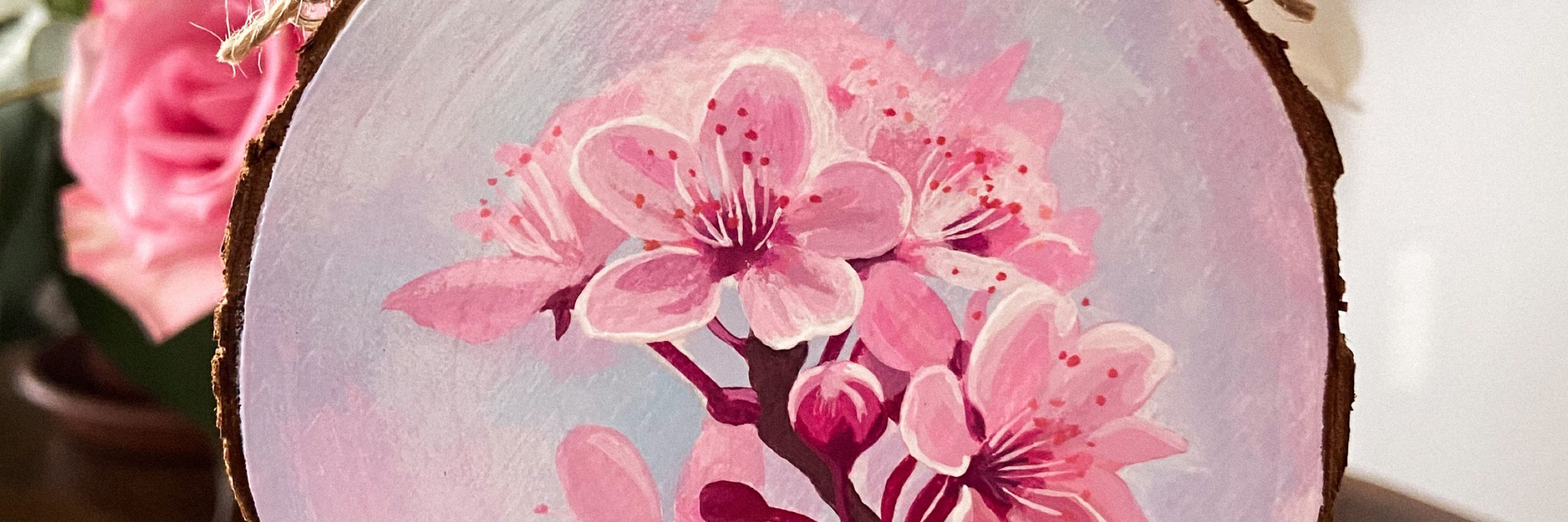 Noëlle S. 🌷