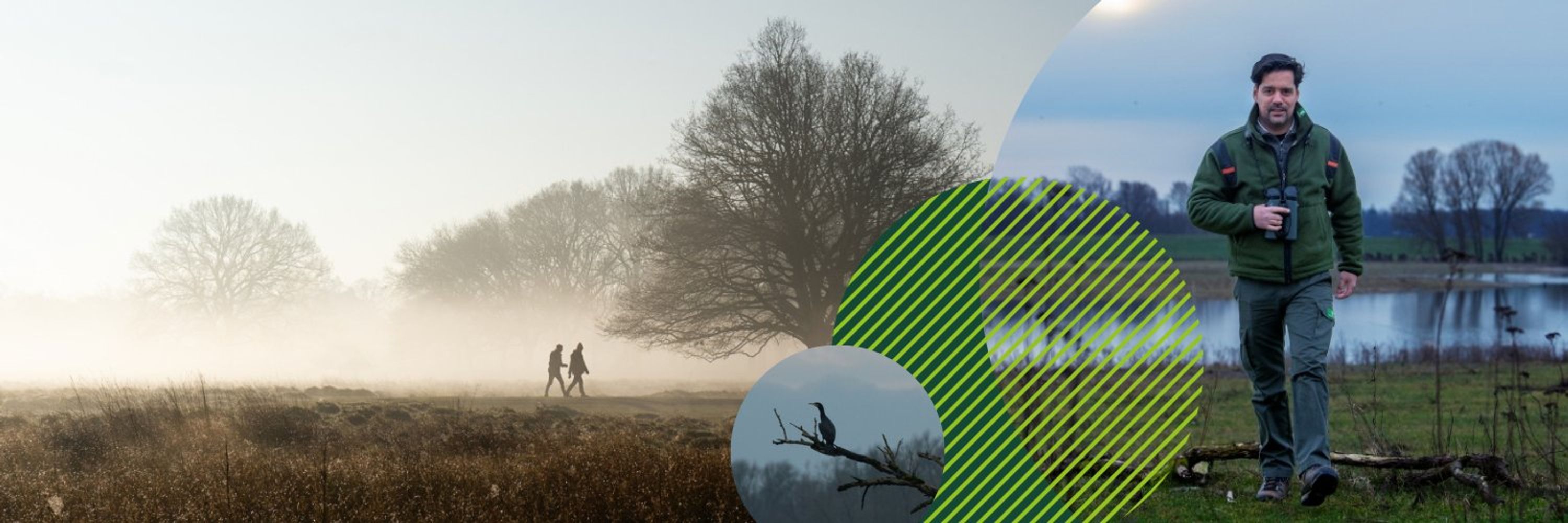 Staatsbosbeheer