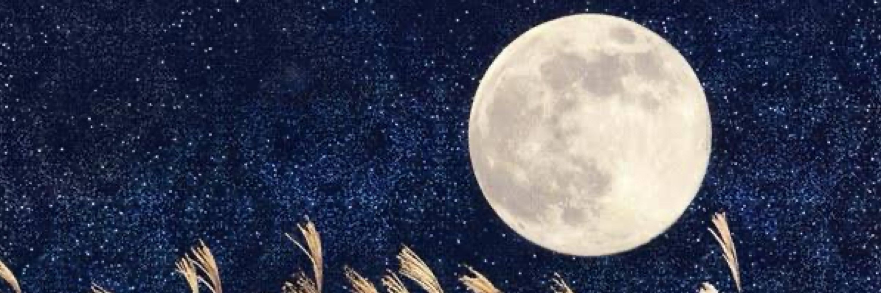 十六夜欠月